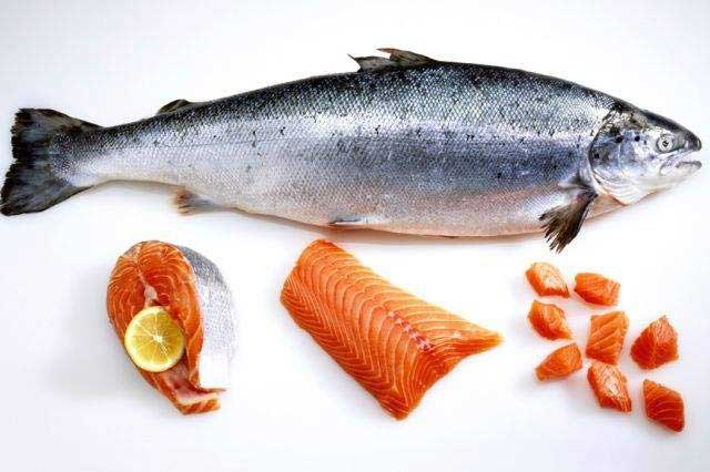 10 Kinds of Human Food That Are Good for Cats: 10. Salmon