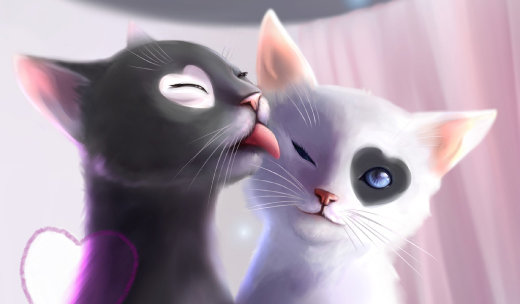 Black & White Cat (Love Heat, kiss, Art) Wallpaper