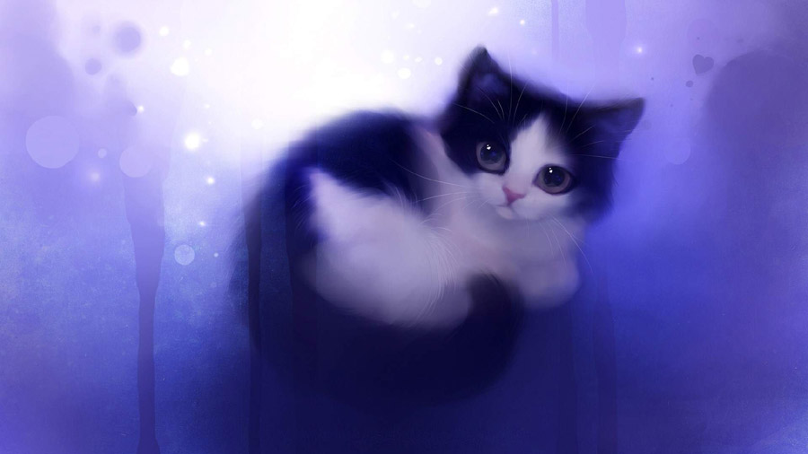Cat Wallpaper (Cartoon, Cute, Purple) HD Cat Wallpaper