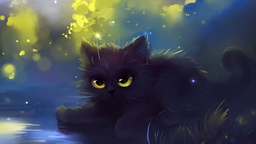 Cat Wallpaper (Cartoon, Eyes, Black) HD Cat Wallpaper