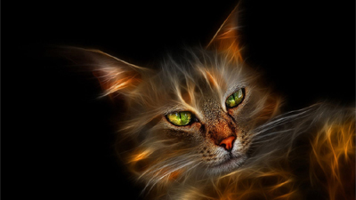 Maine Coon Art Wallpaper