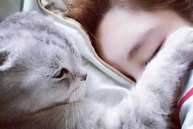 Cat Likes To Sleep Around You, There Is These 6 Reasons: 3. The cat really likes you