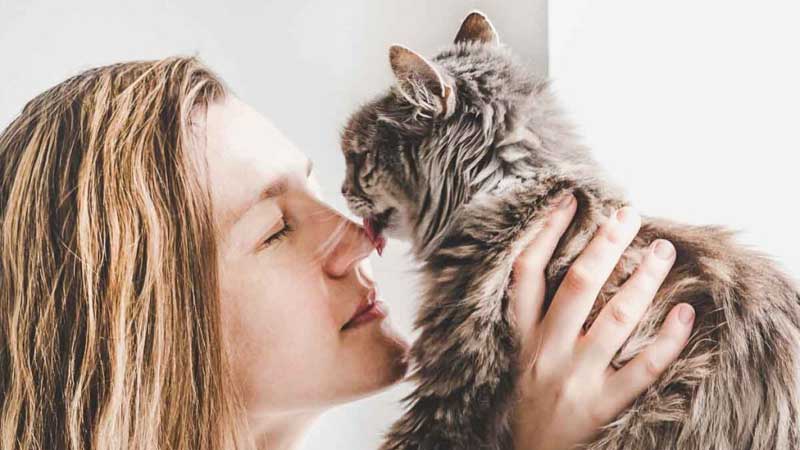 To Be Safe, Don't Let Your Cat Lick Your Face!