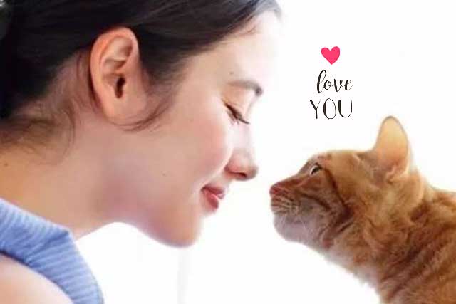 Meanings of a Cat's ＂Nose Kiss＂: 5. Say Love you