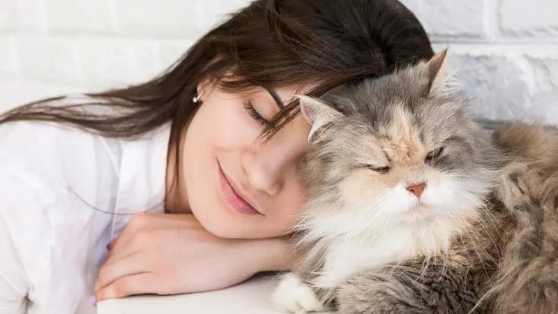 Psychological Benefits of Owning a Cat