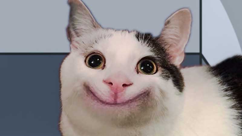 Smiling Beluga Cat Meme Face | Poster