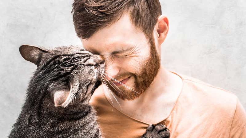 Why Your Cat Keeps Licking Your Face